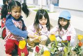 3・4・5歳児の一日の様子1
