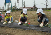 3・4・5歳児の一日の様子2