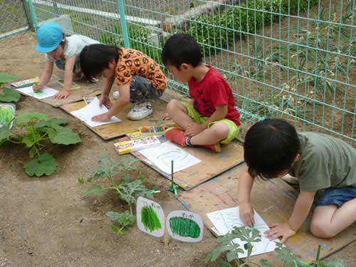 野菜をスケッチする園児の様子