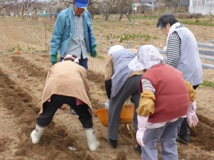 じゃがいも