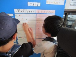 小学生シール投票