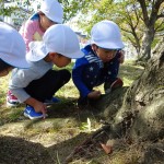 公園で遊ぶ姿