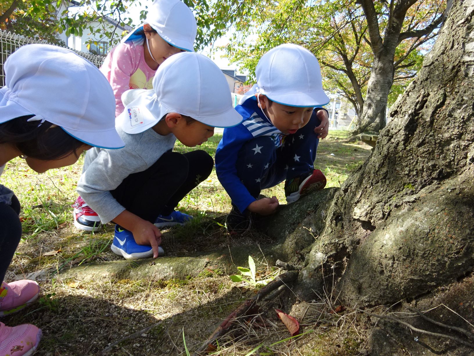 公園で遊ぶ姿
