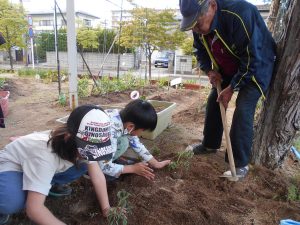 杉の子菜園２