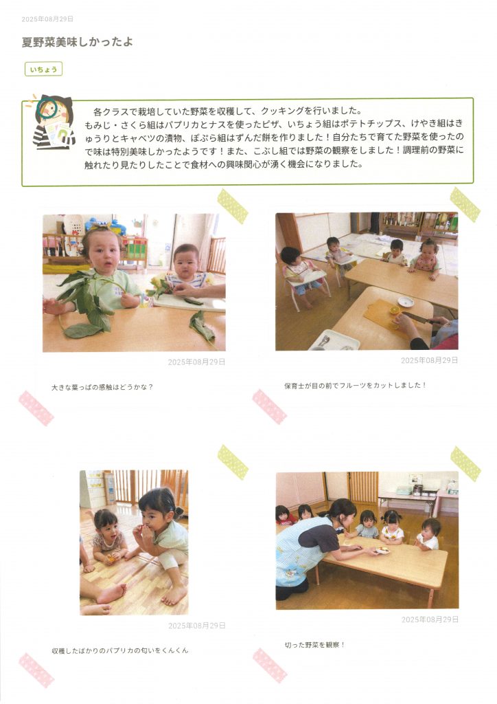 夏野菜美味しかったよ１