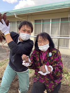 さつまいも堀り