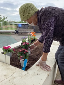 花壇整備