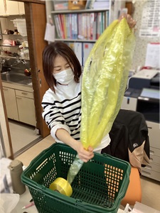 園遊会